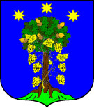 Stemma o illustrazione della fonte